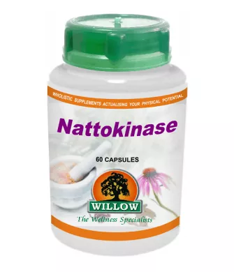nattokinase willow nattokinase willow